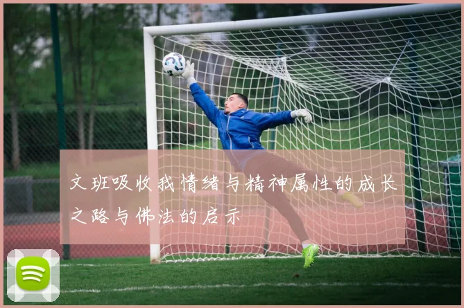 文班吸收我情绪与精神属性的成长之路与佛法的启示