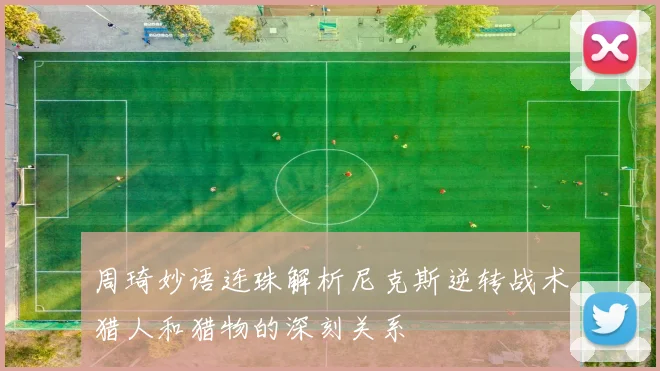 周琦妙语连珠解析尼克斯逆转战术猎人和猎物的深刻关系